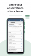 BirdNET Screenshot2