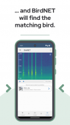 BirdNET Screenshot4
