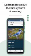 BirdNET Screenshot3