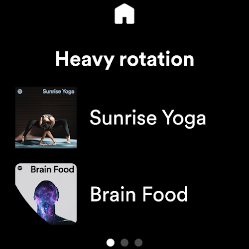 Spotify Screenshot22