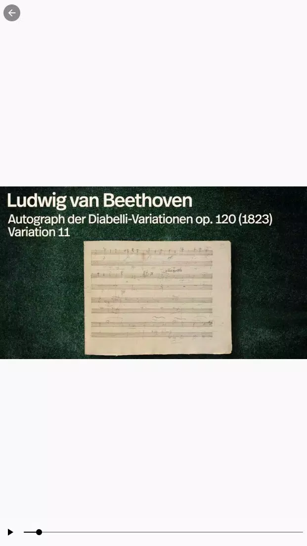 Beethoven Screenshot6