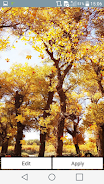 Falling Leaves Live Wallpaper Screenshot5