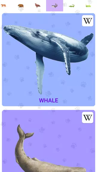 Animal Sounds Screenshot3