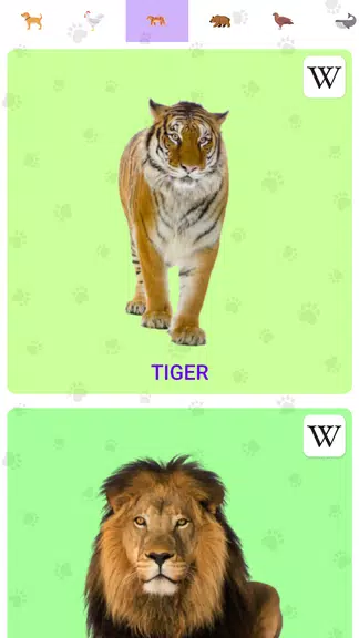 Animal Sounds Screenshot2