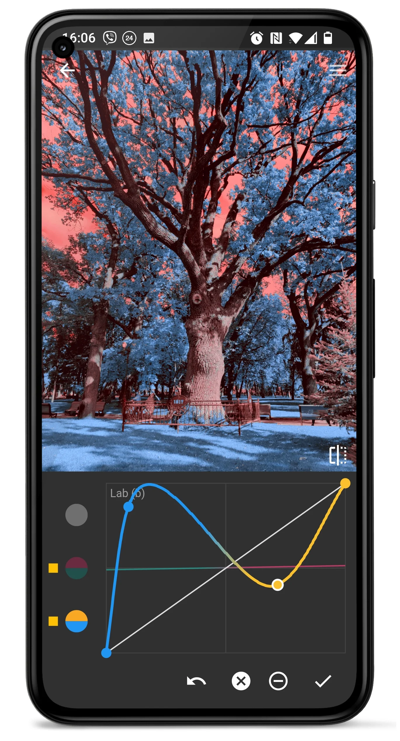 Photo Curves Screenshot5