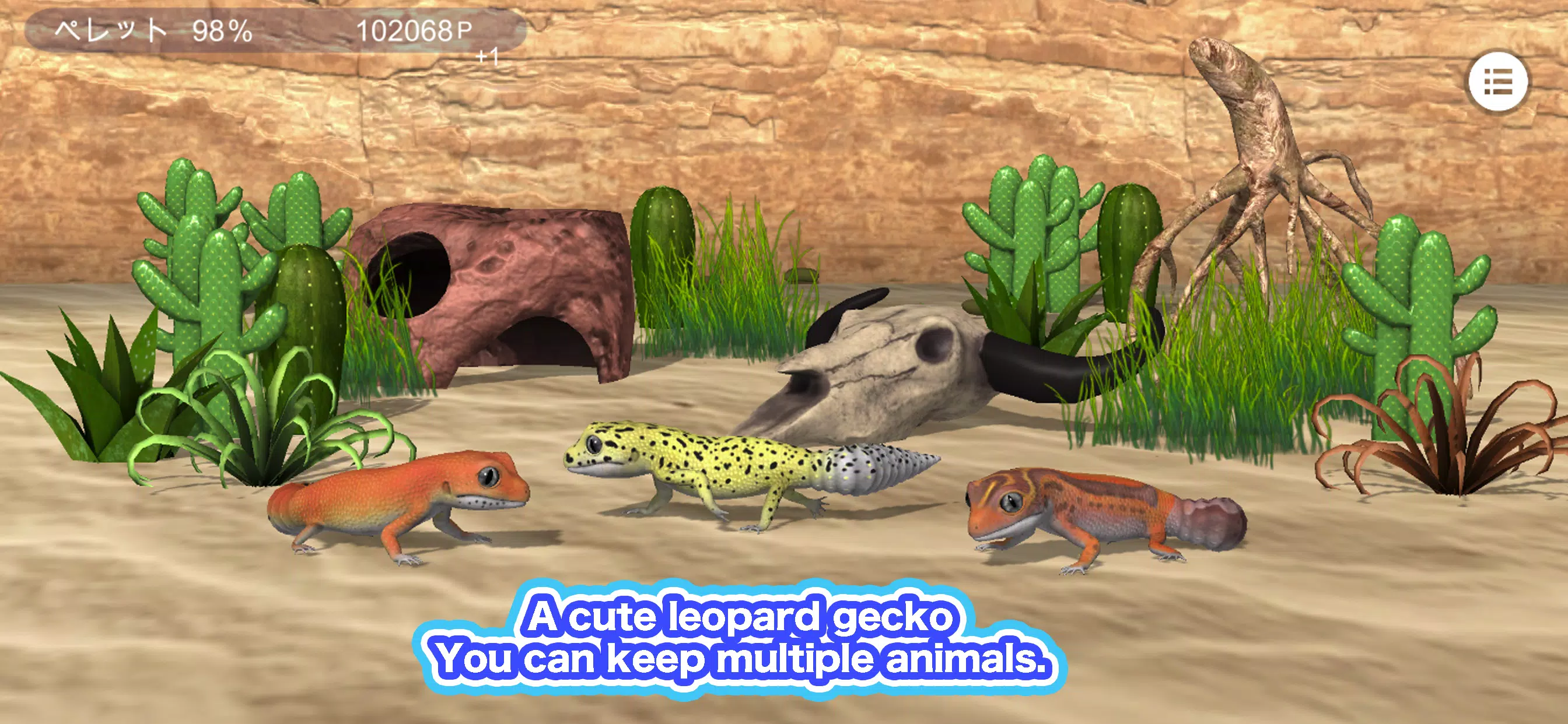 My leopard gecko Screenshot1