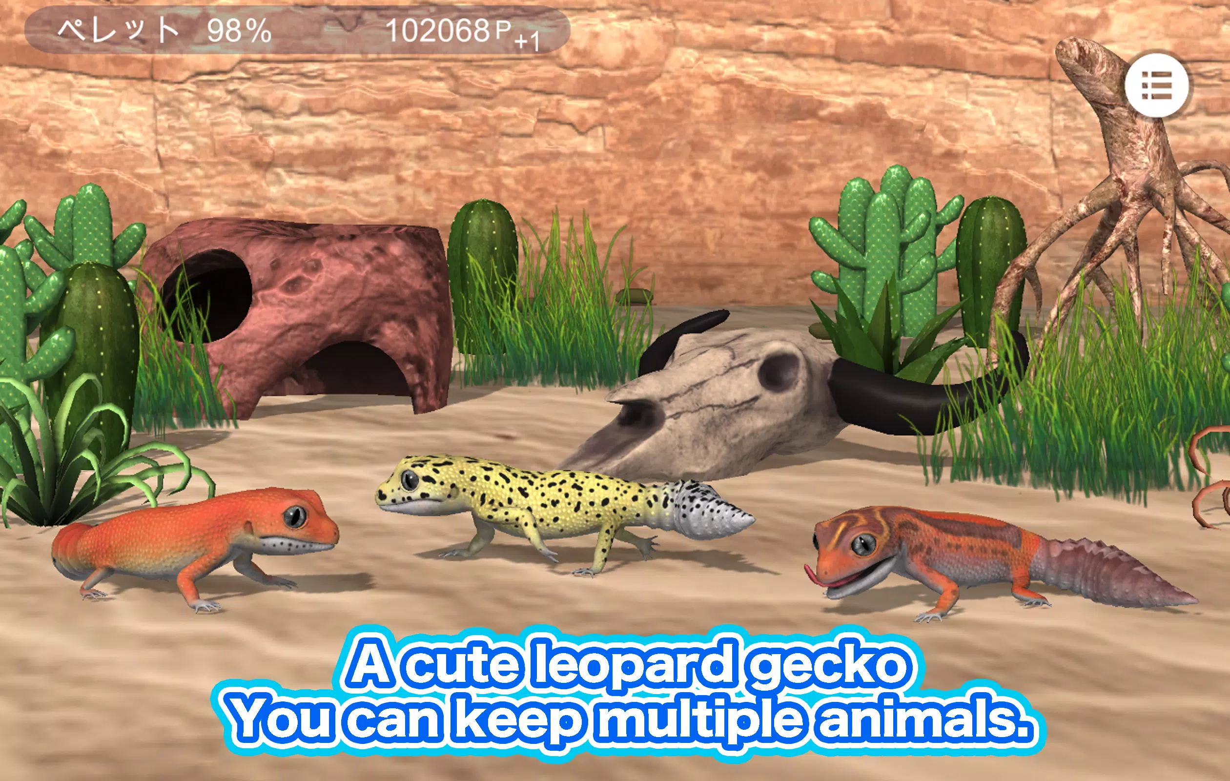 My leopard gecko Screenshot5