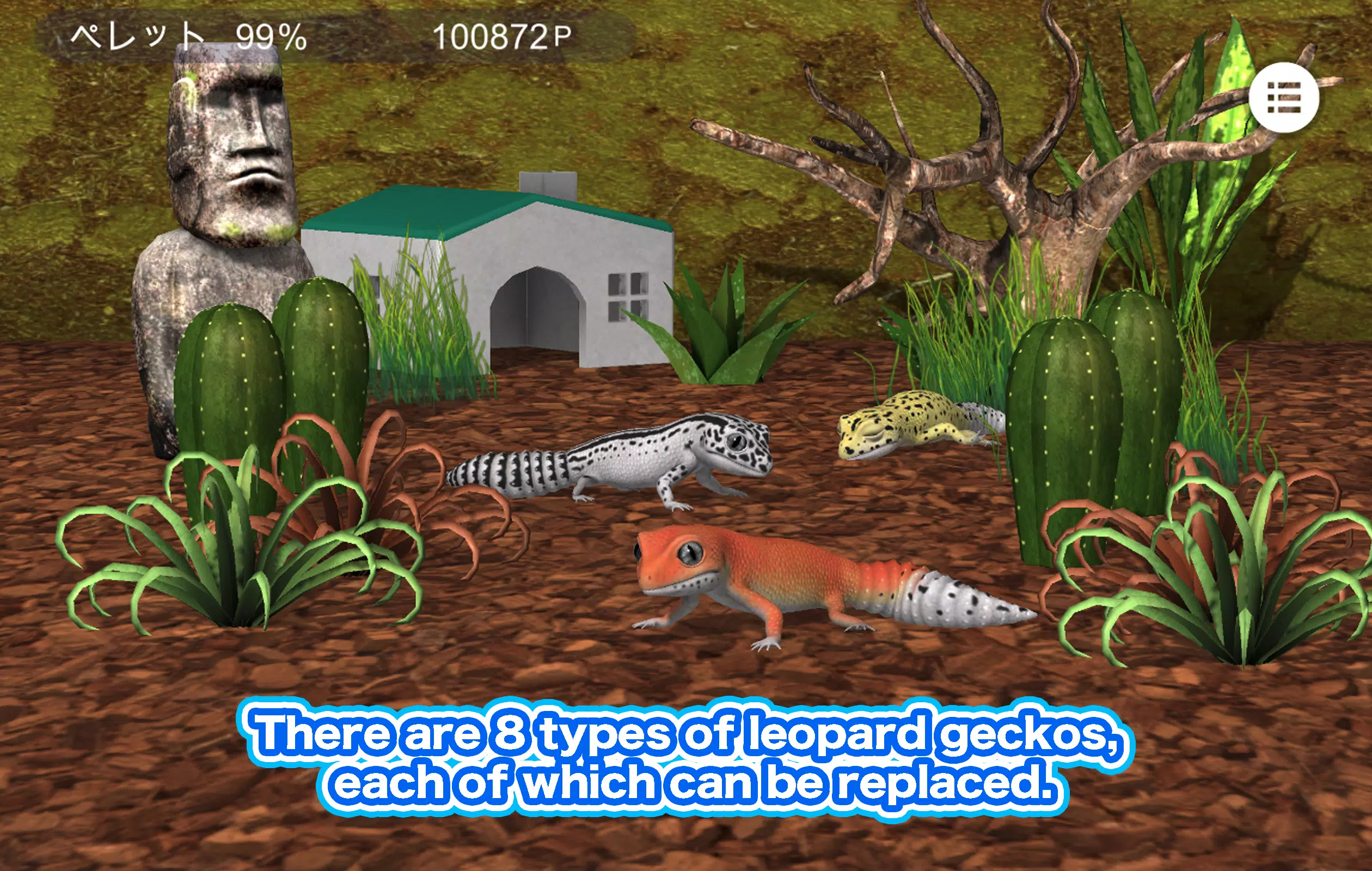 My leopard gecko Screenshot7