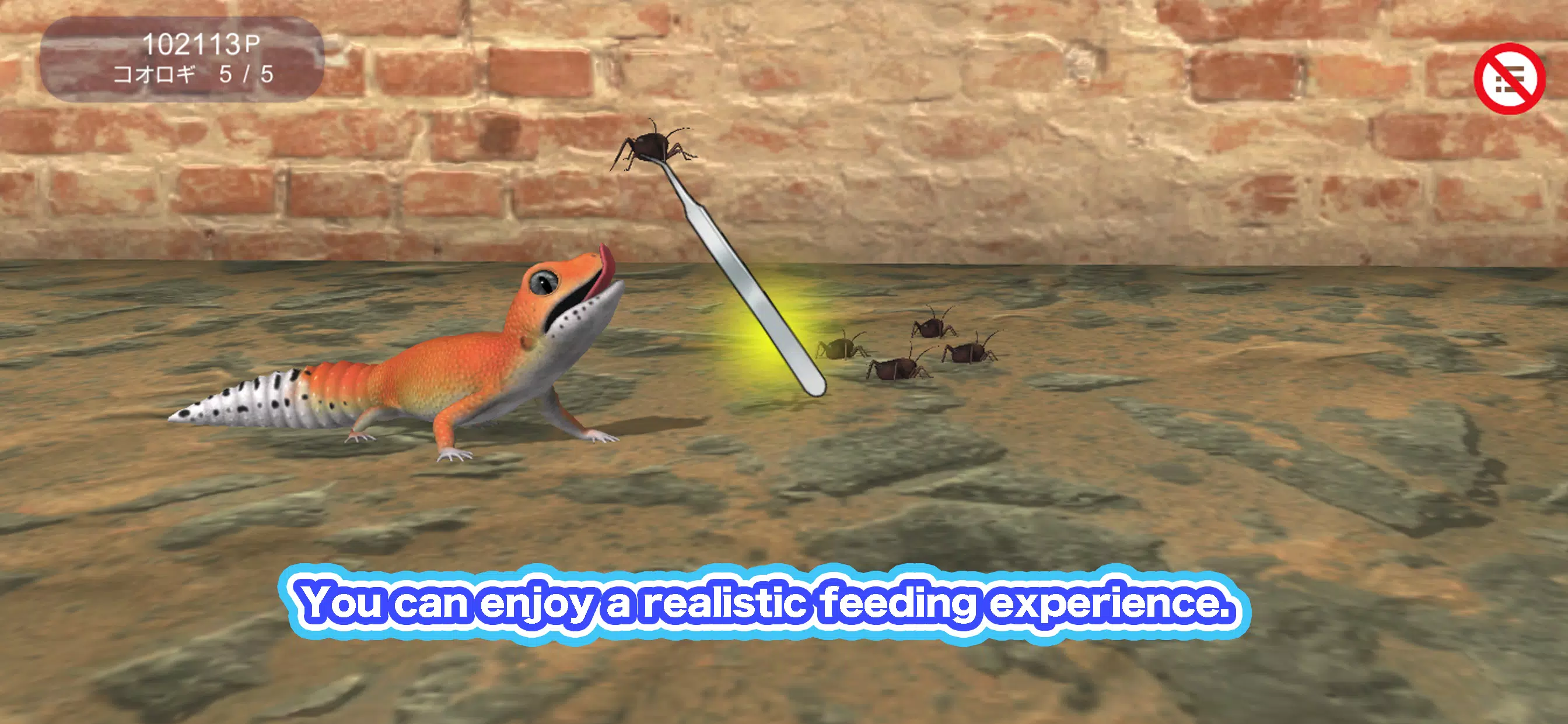 My leopard gecko Screenshot2