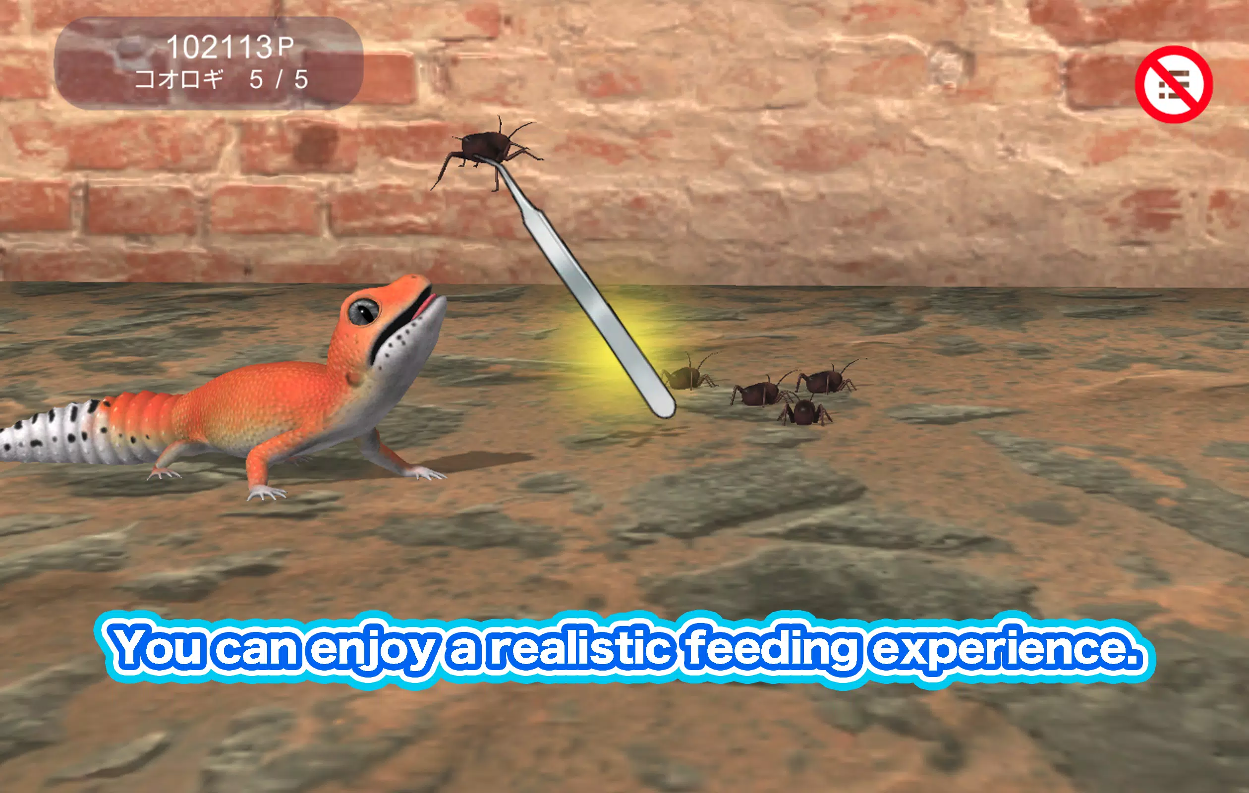 My leopard gecko Screenshot6