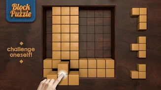 Wood Block Screenshot7