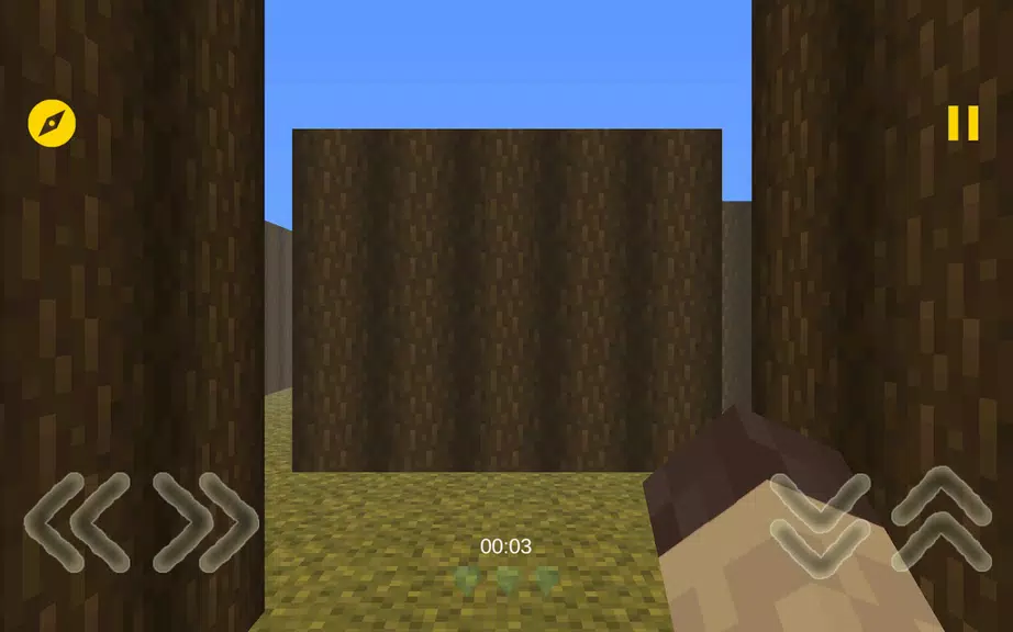 Mine Maze 3D Screenshot1