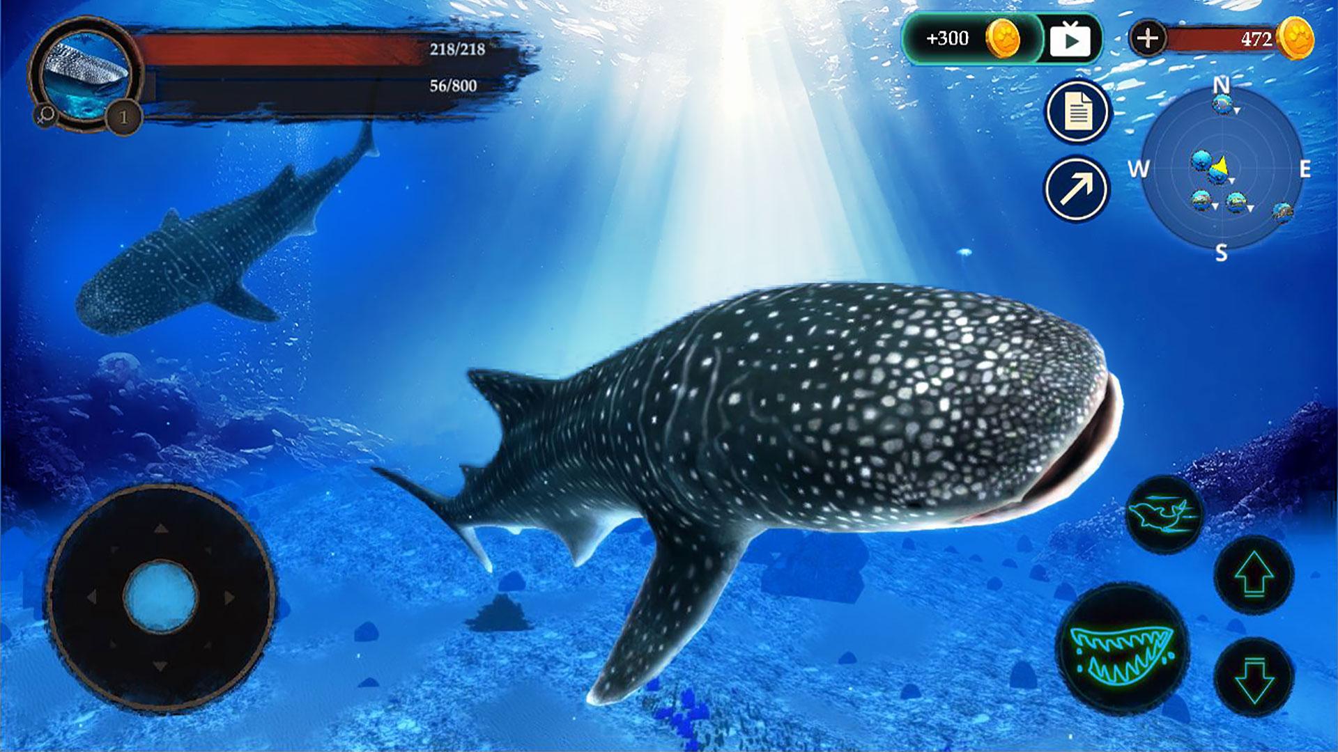 The Whale Shark Screenshot6