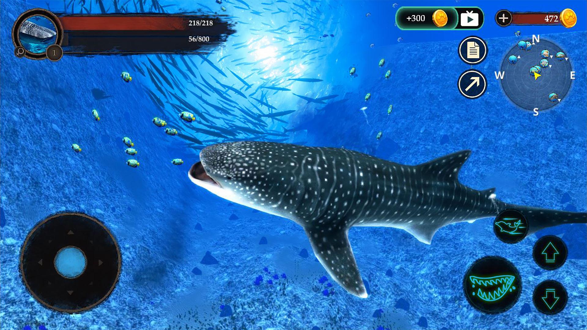 The Whale Shark Screenshot2