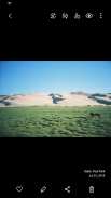 Samsung Gallery Screenshot3