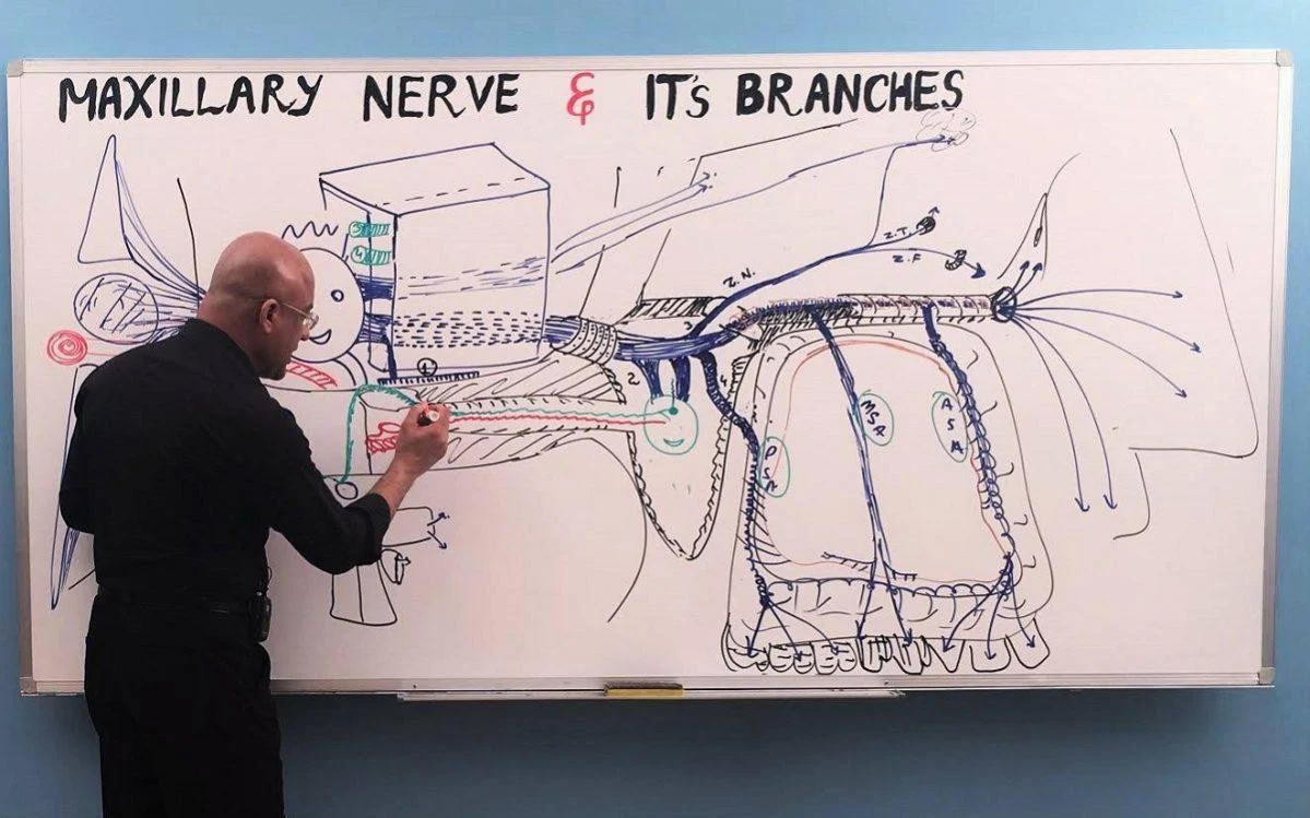 Dr. Najeeb Lectures Screenshot7