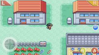 Pokemon Screenshot2
