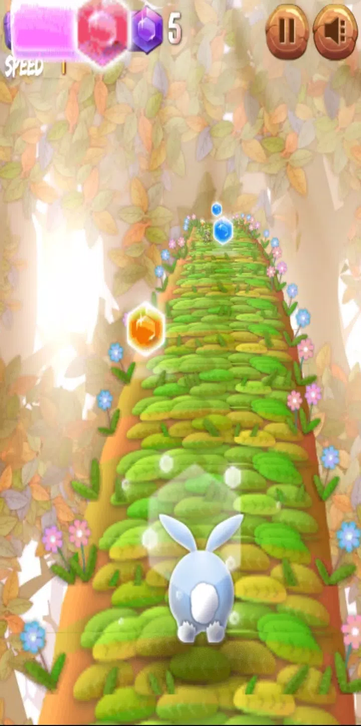 Bunny Rabbit Runner: Hop Run! Screenshot4