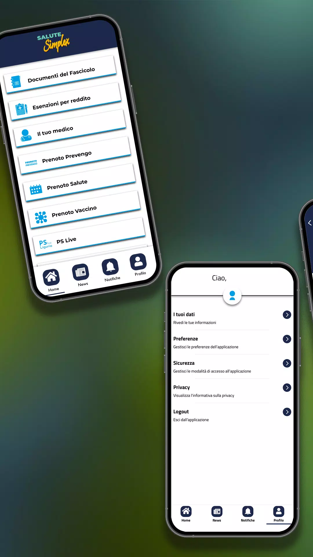 SaluteSimplex Screenshot3