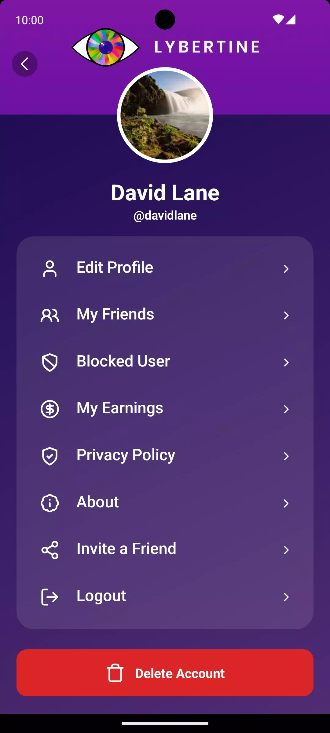 Lybertine Screenshot8