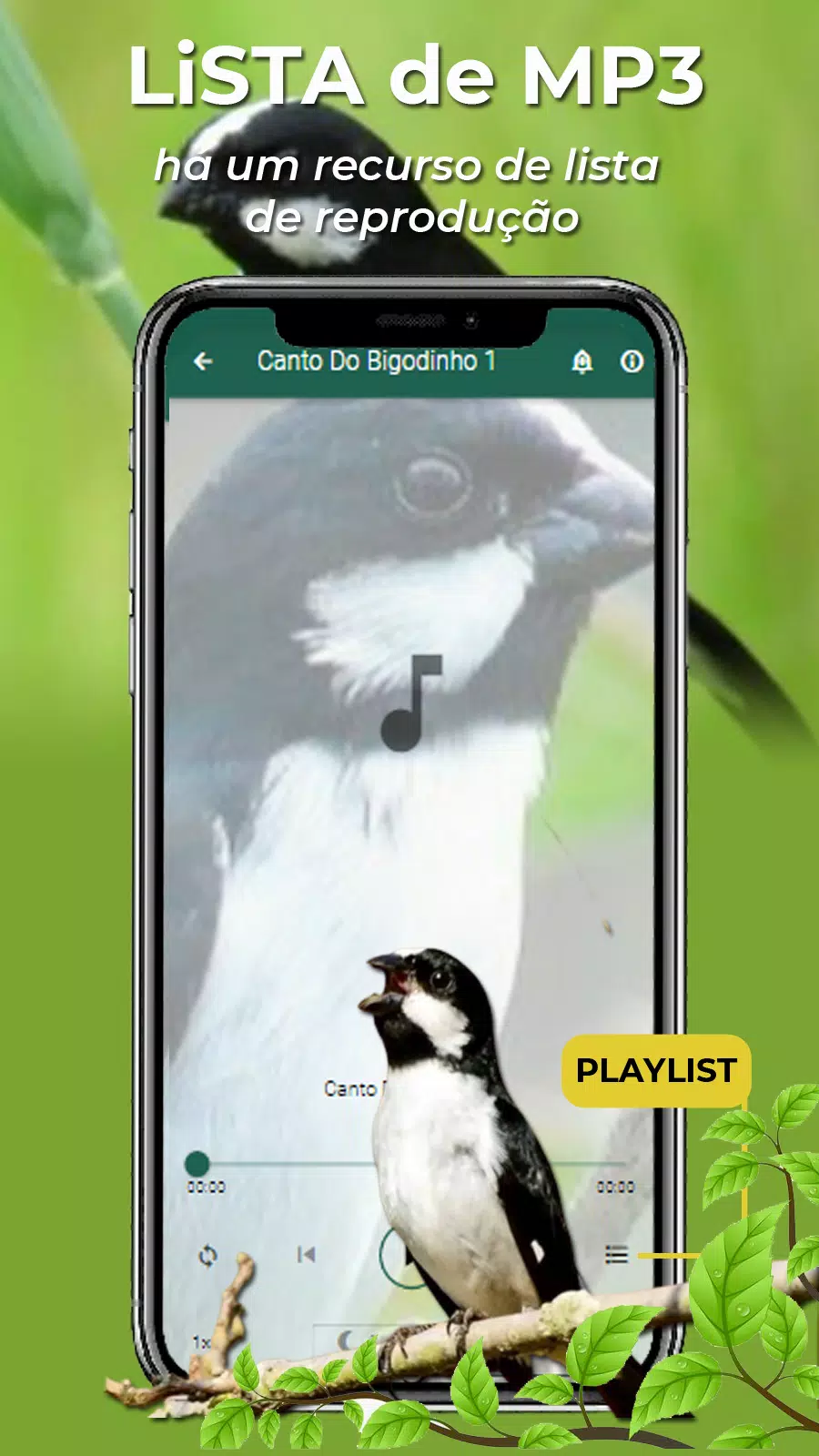 Canto Do Bigodinho Screenshot7