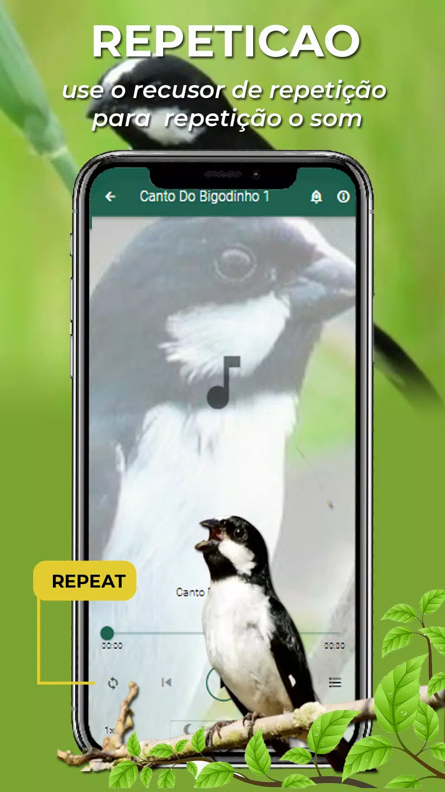 Canto Do Bigodinho Screenshot6
