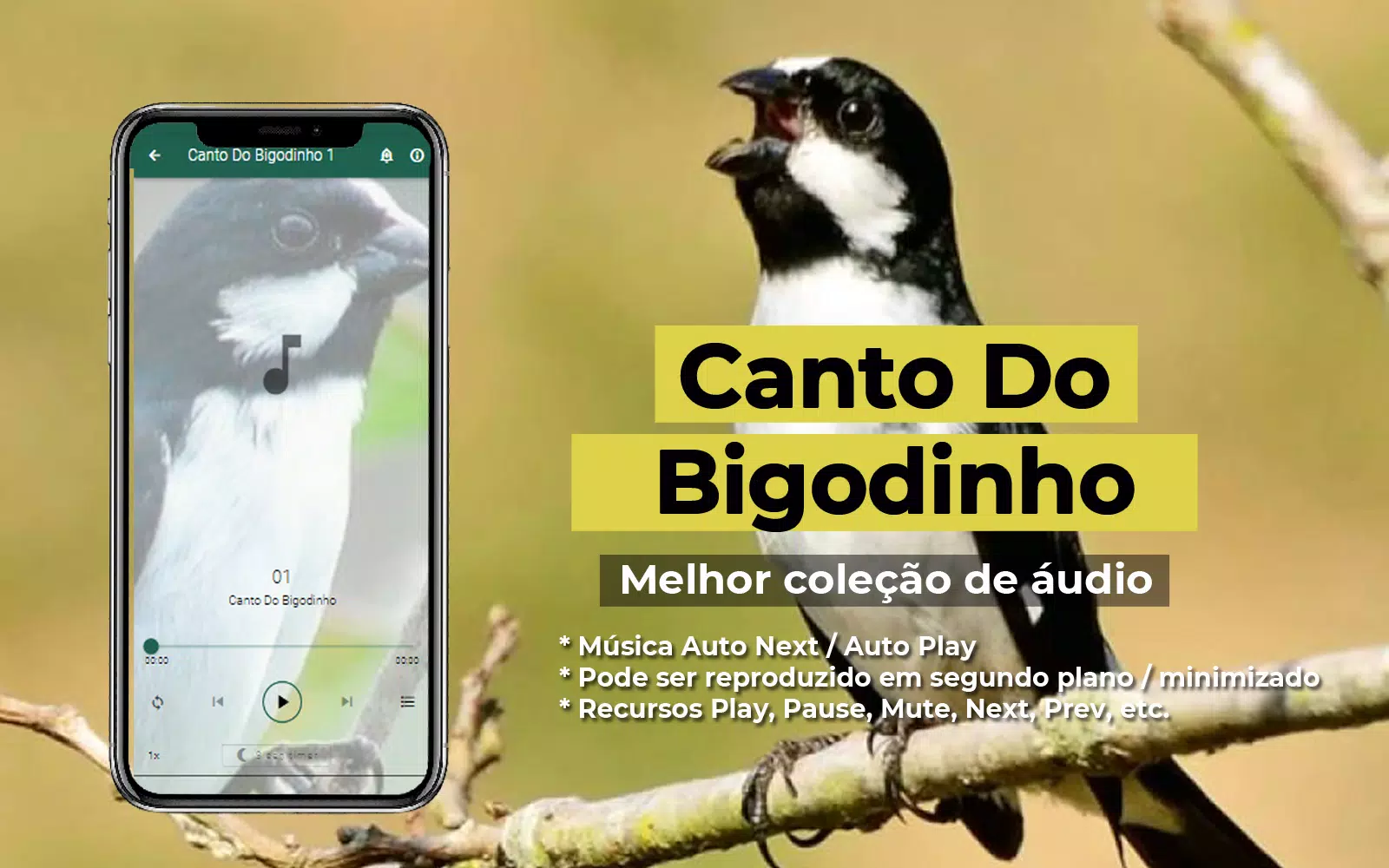 Canto Do Bigodinho Screenshot8
