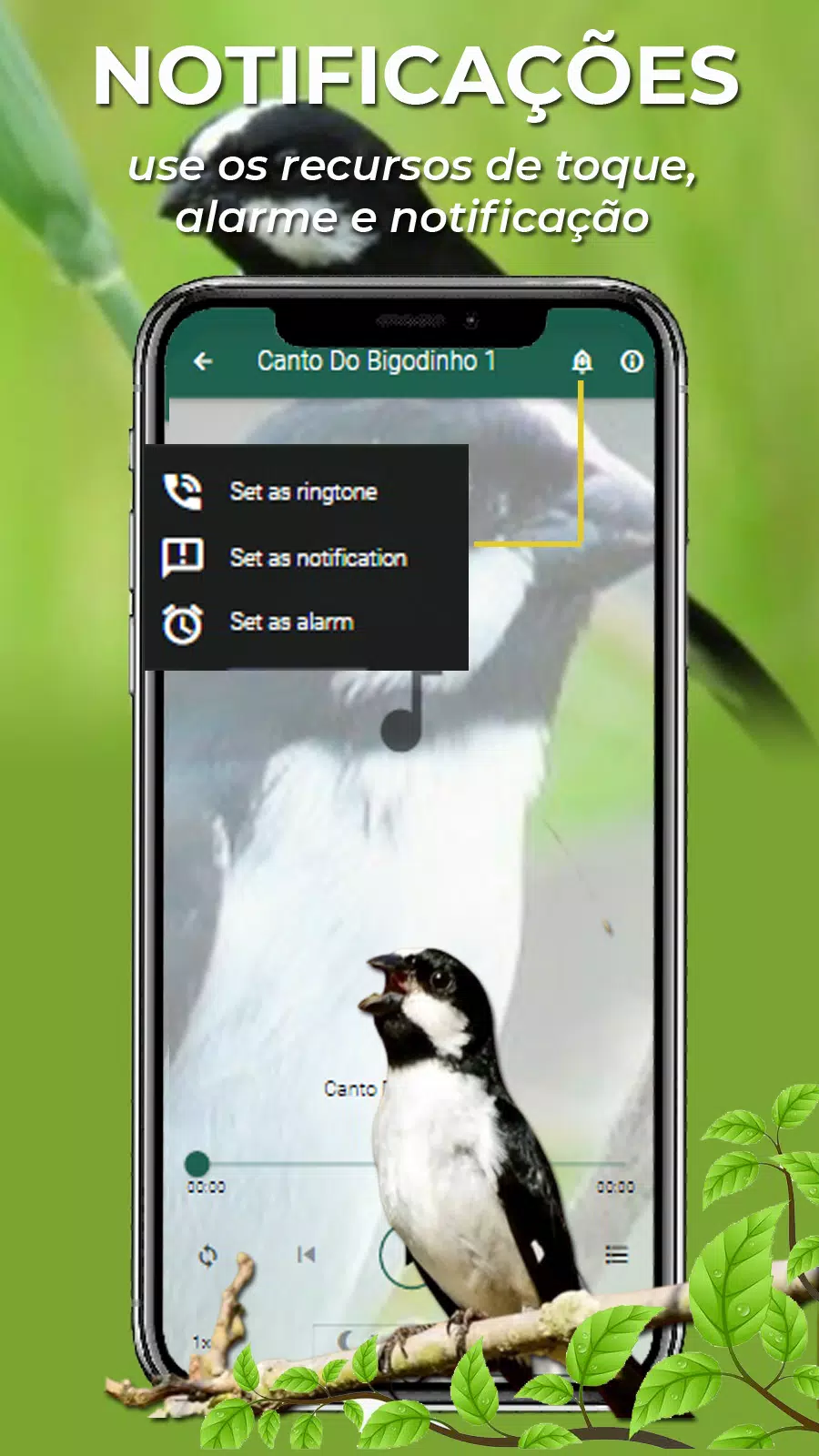 Canto Do Bigodinho Screenshot4
