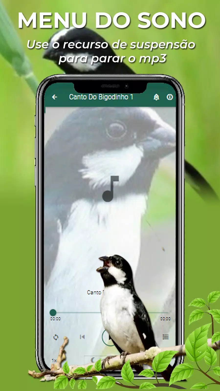 Canto Do Bigodinho Screenshot3