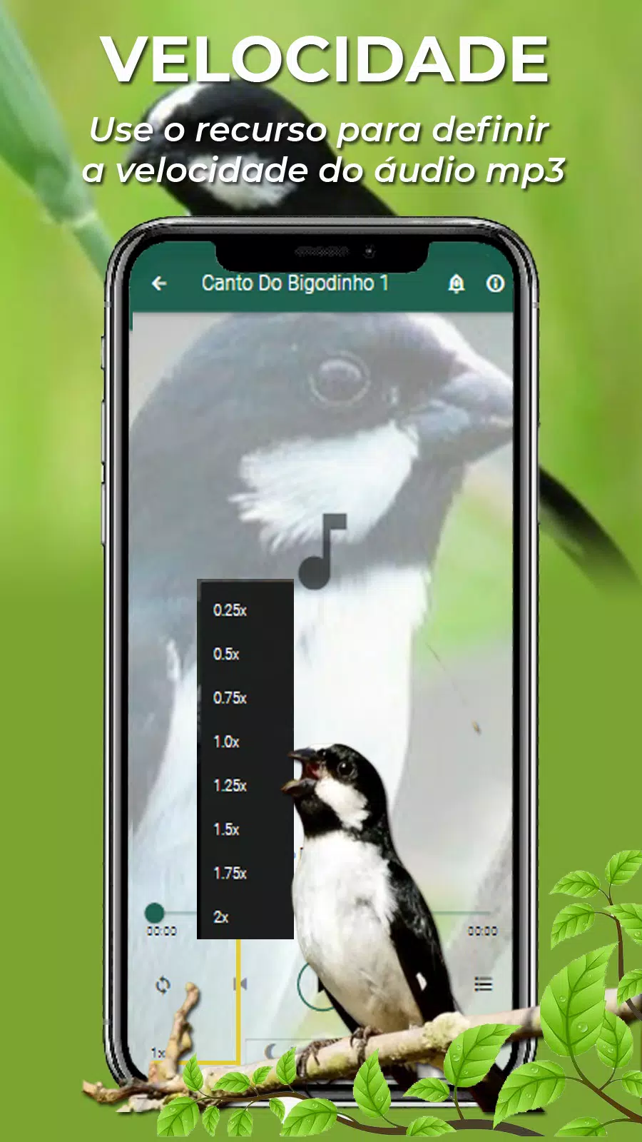Canto Do Bigodinho Screenshot5