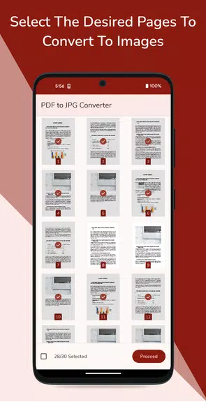 PDF to JPG Converter Screenshot2