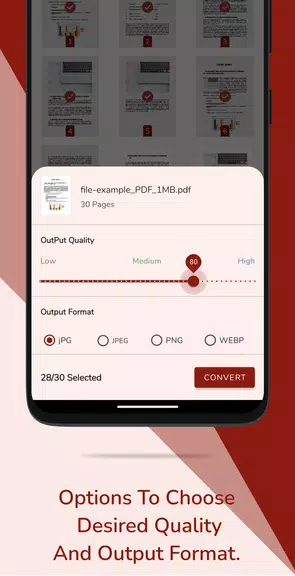 PDF to JPG Converter Screenshot3
