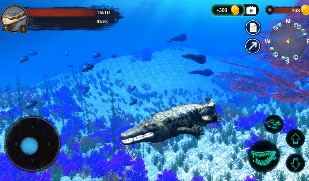 The Crocodile Screenshot13