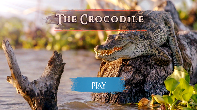 The Crocodile Screenshot2