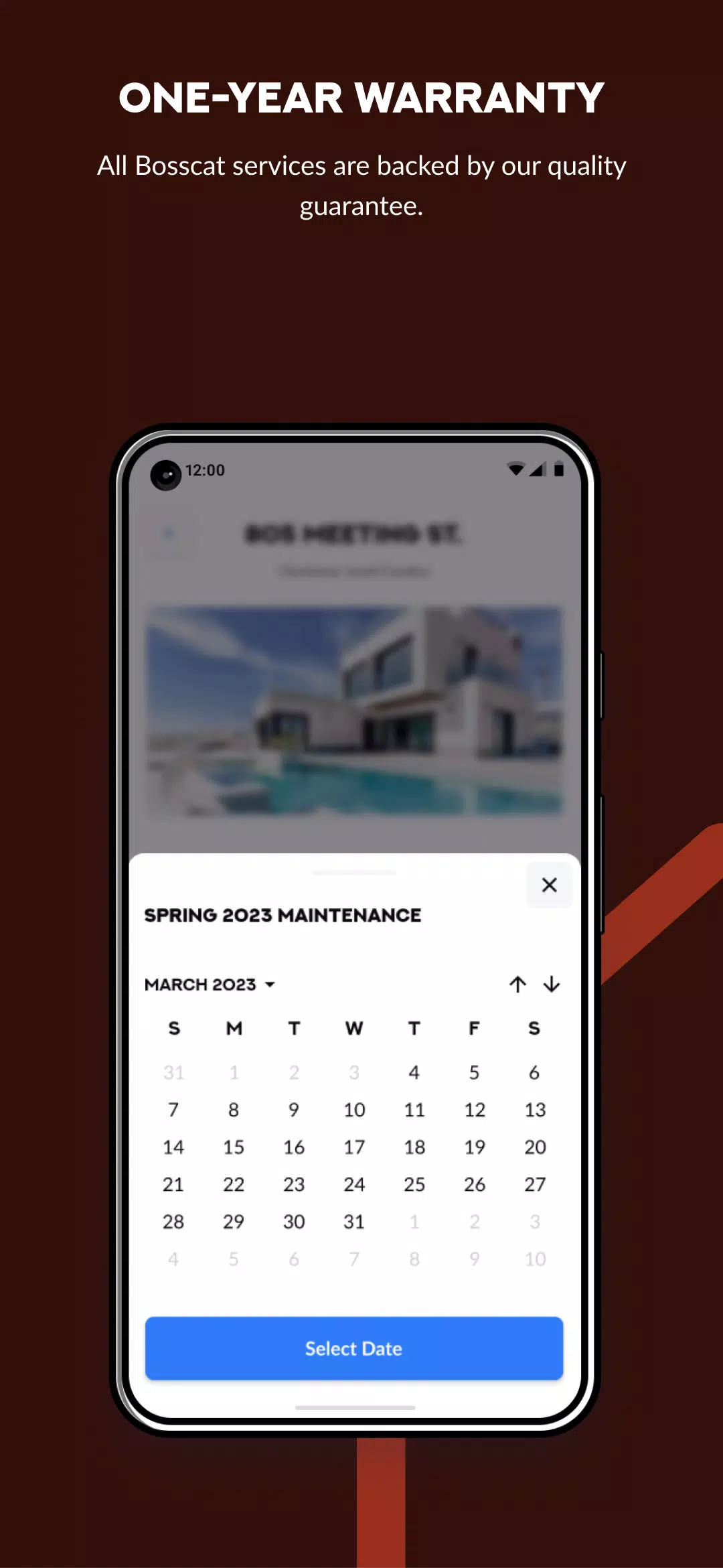 BOSSCAT Screenshot6