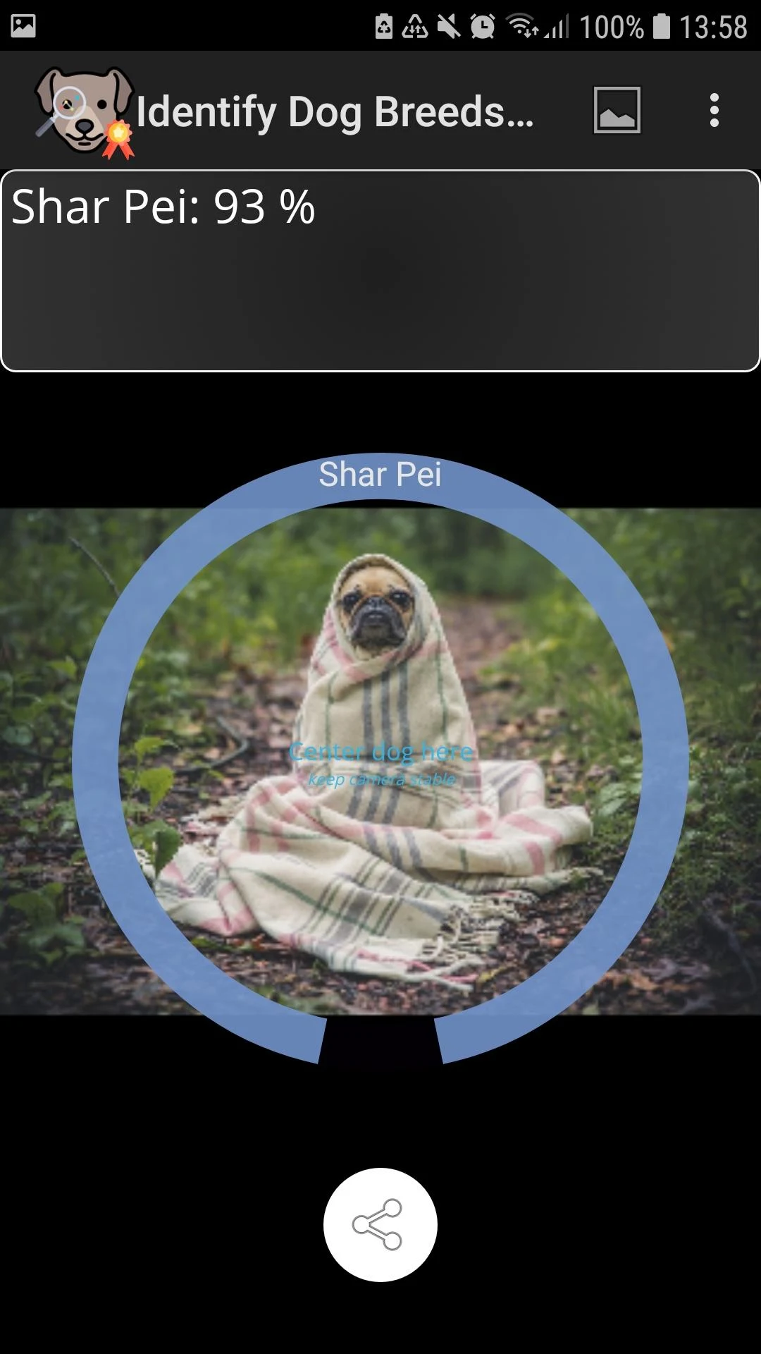 Identify Dog Breeds Screenshot8