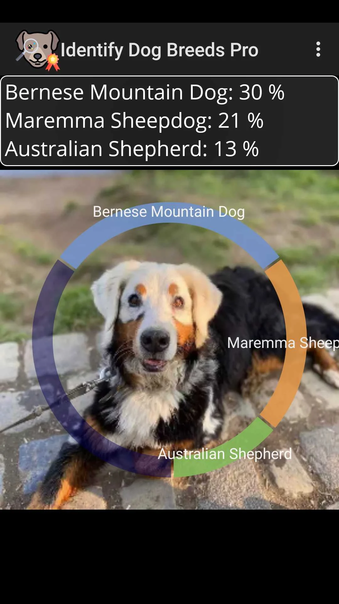 Identify Dog Breeds Screenshot1
