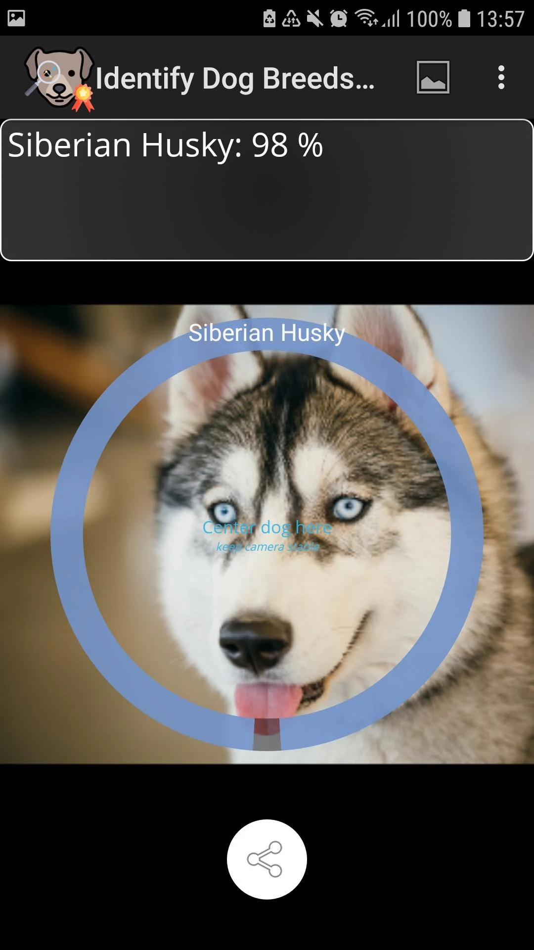 Identify Dog Breeds Screenshot3