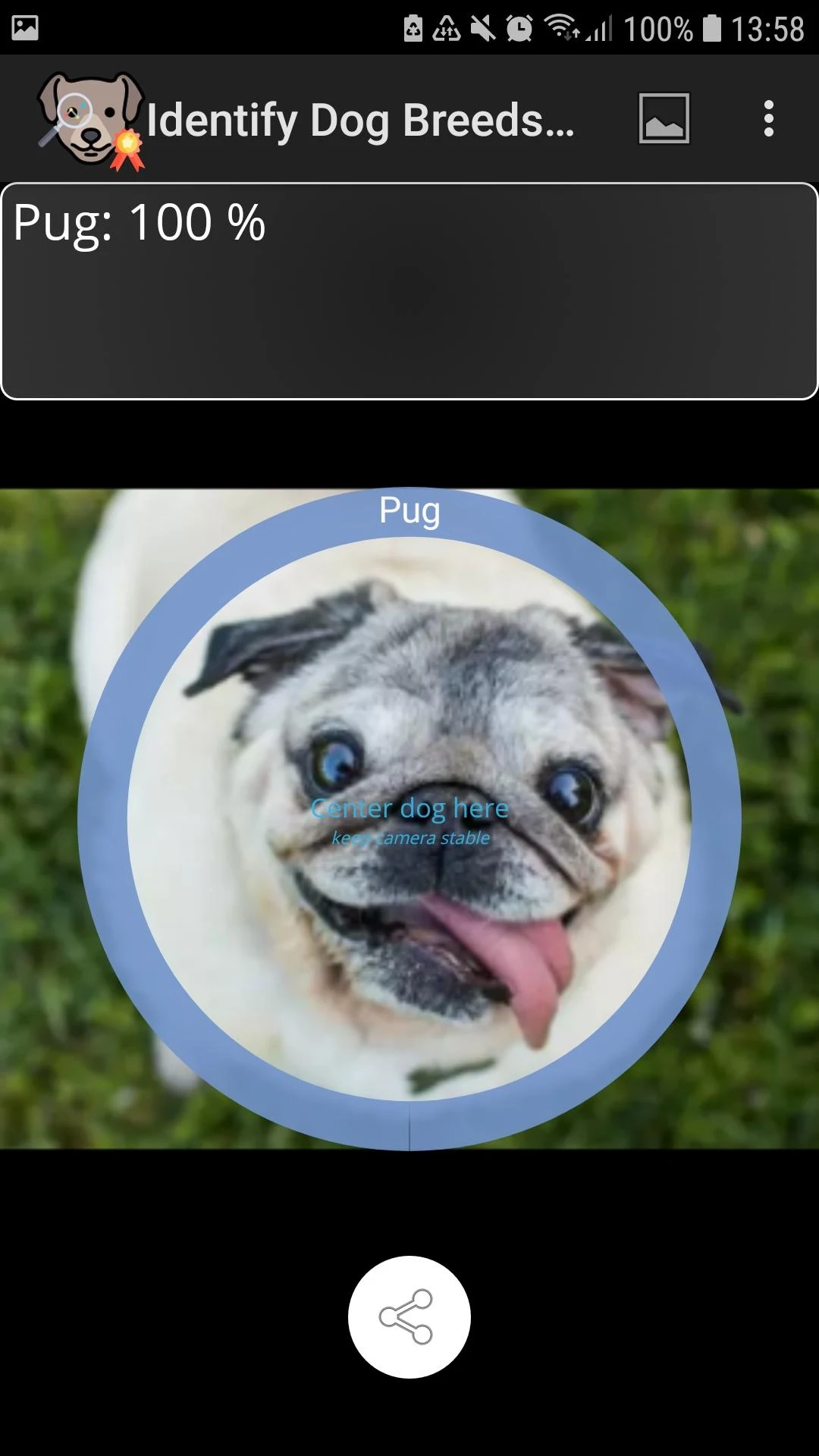 Identify Dog Breeds Screenshot6