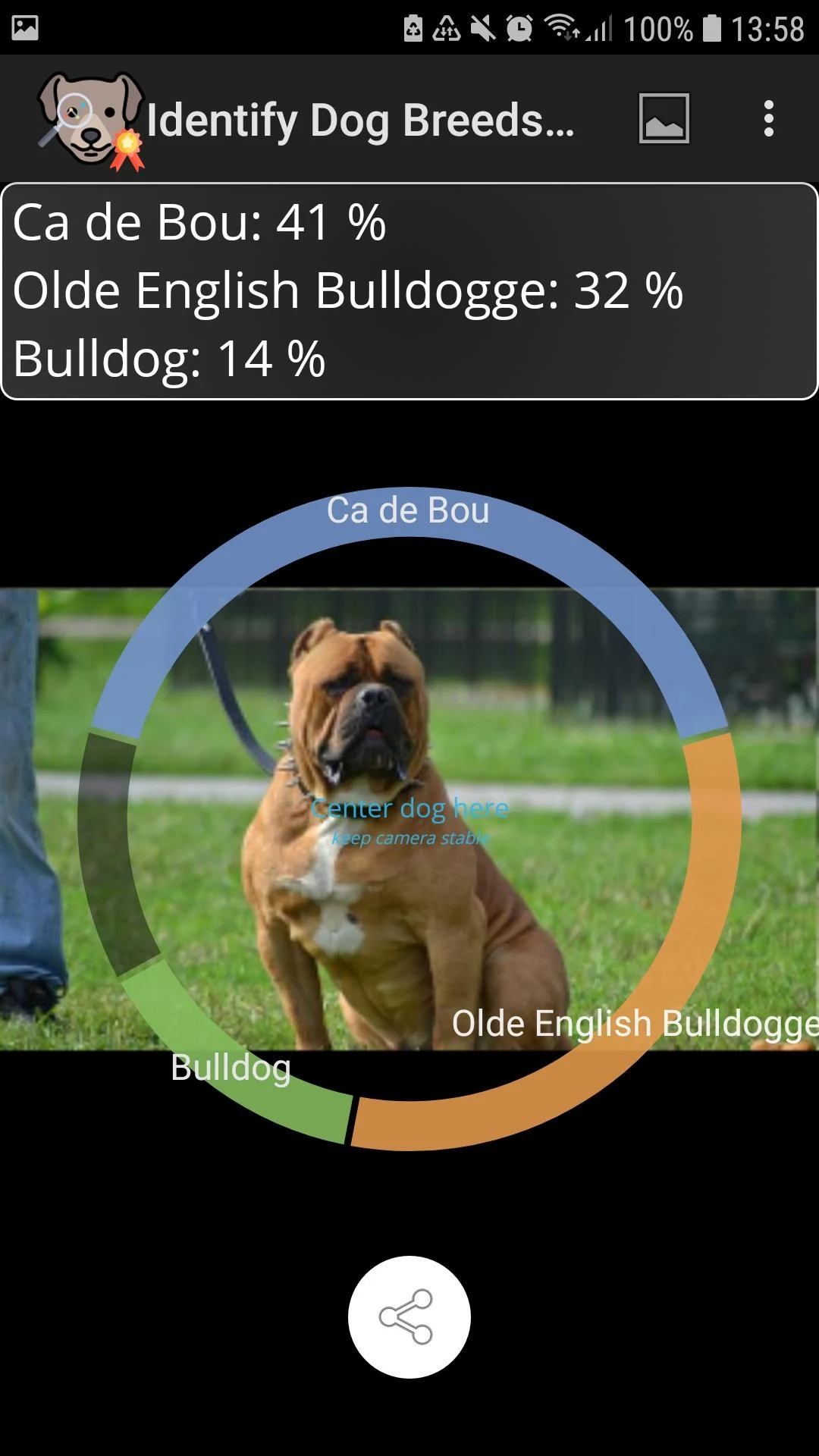 Identify Dog Breeds Screenshot7