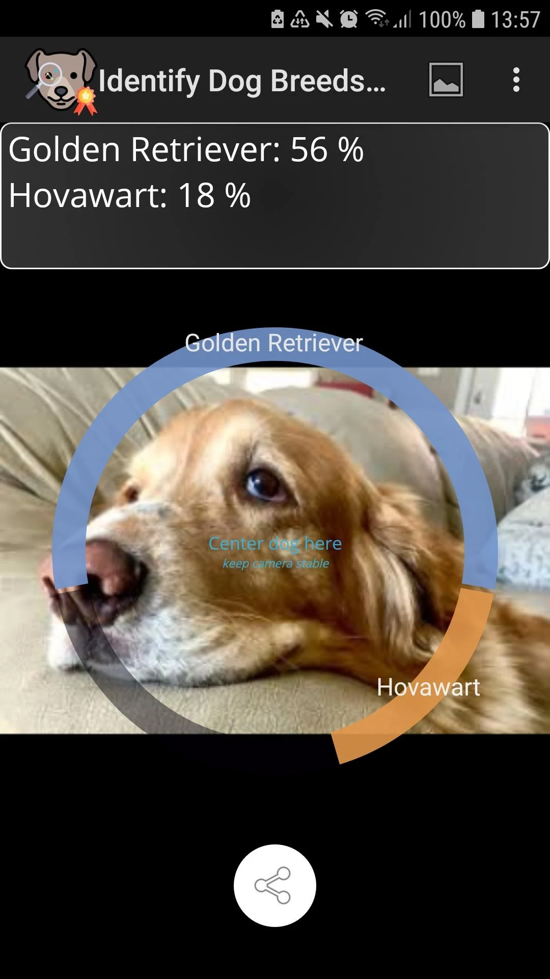 Identify Dog Breeds Screenshot2