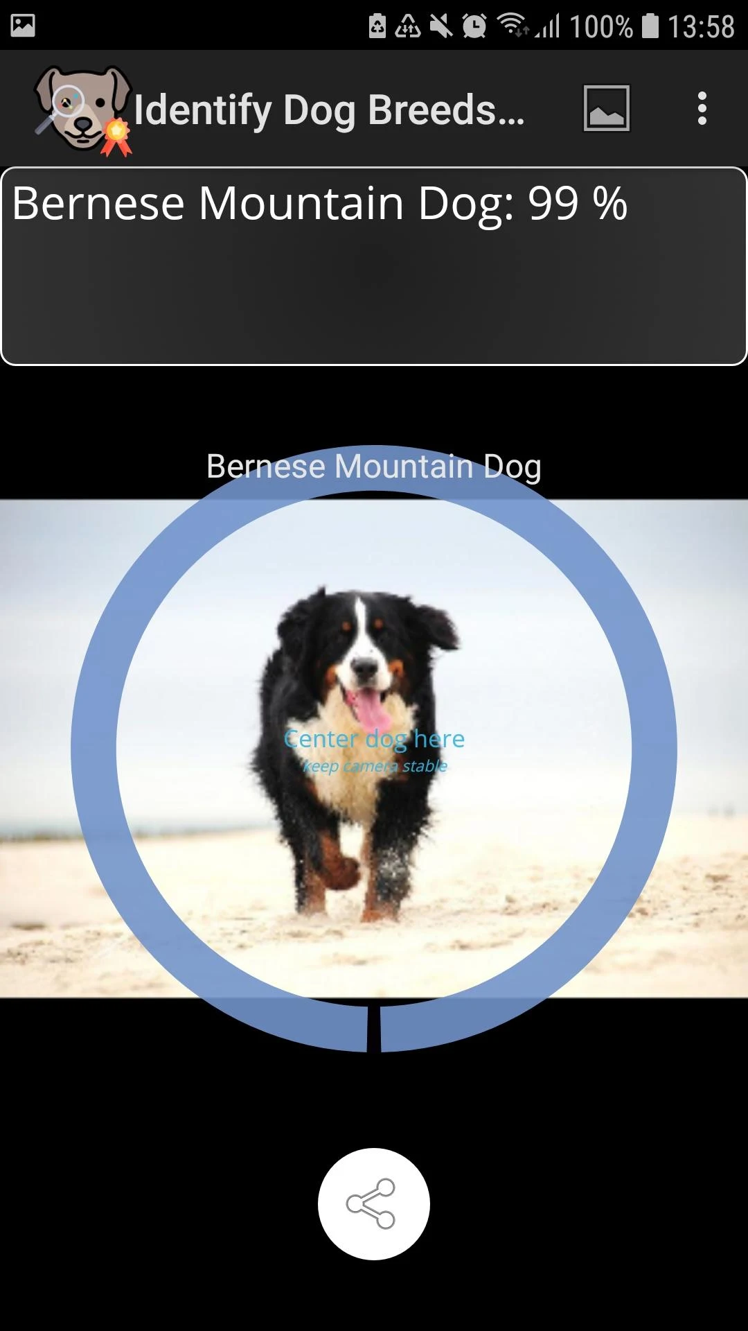 Identify Dog Breeds Screenshot4