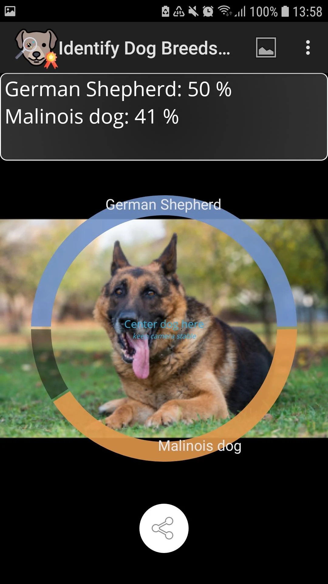 Identify Dog Breeds Screenshot5