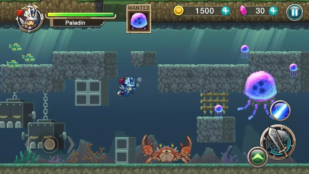 Cleared Boss, Got the Princess Screenshot3