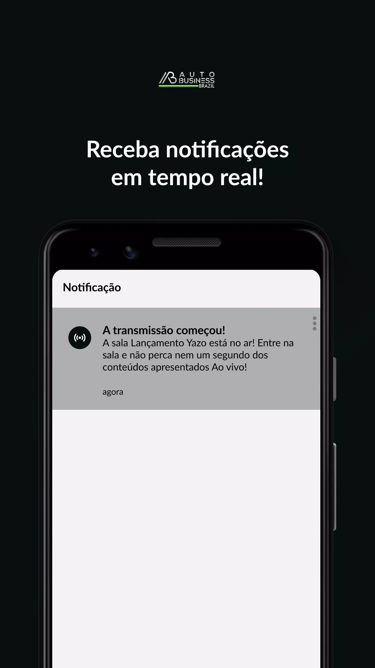 Auto Business Brazil Screenshot4