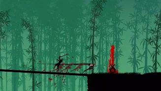 Shadow Ninja Screenshot2