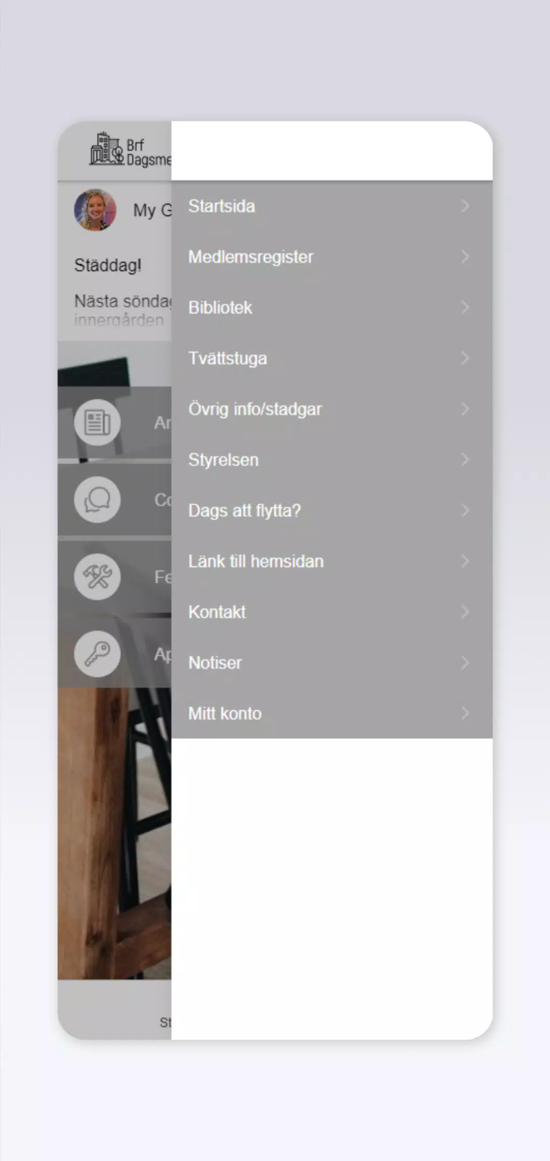 BRF Dagsmejan Screenshot2