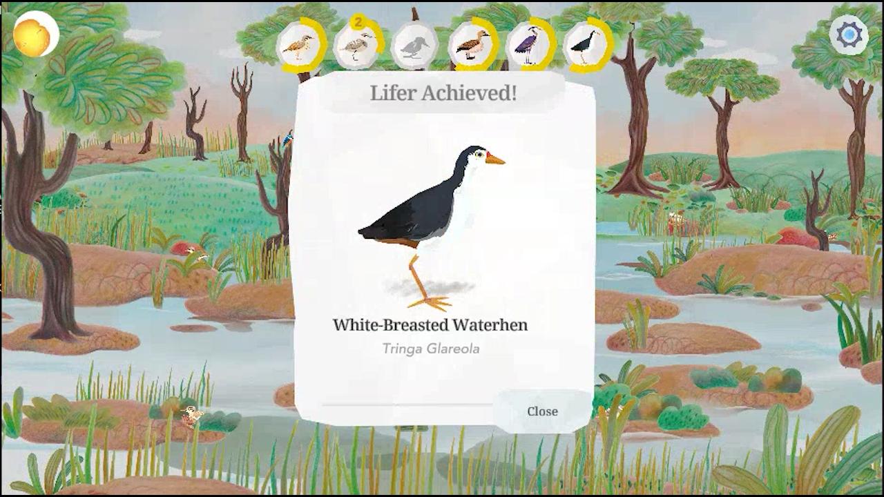 Junior Birder Adventure Screenshot2