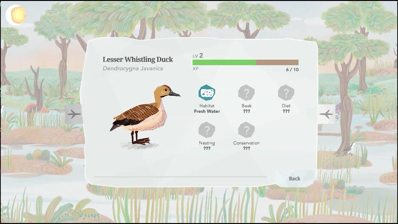Junior Birder Adventure Screenshot3