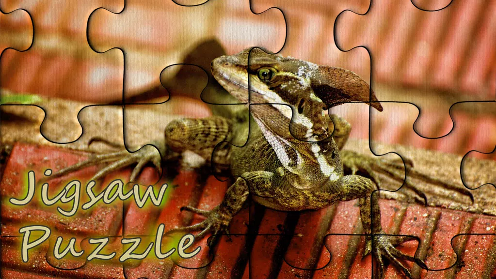 Classic jigsaw puzzles Screenshot1